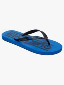 Quiksilver Java Wordmark - Flip-Flops For Boys