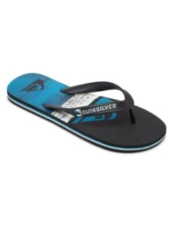 Quiksilver Molokai Panel - Flip-Flops For Boys