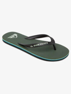 Quiksilver Molokai - Flip-Flops For Men