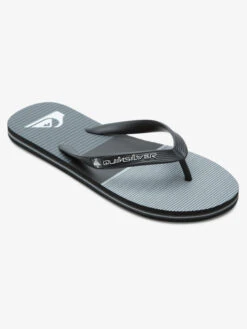 Quiksilver Molokai Tijuana - Flip-Flops For Men