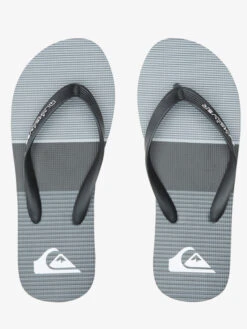 Quiksilver Molokai Tijuana - Flip-Flops For Men -Quiksilver Shop aqyl101201 quiksilverp syj2 frt4