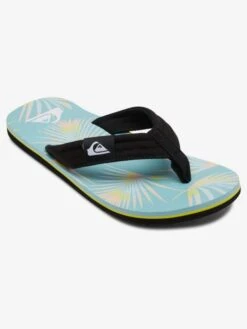 Quiksilver Molokai Layback - Flip-Flops For Men