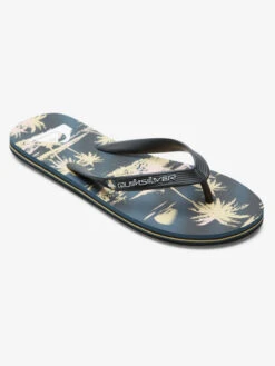 Quiksilver Molokai Air Flow - Flip-Flops For Men