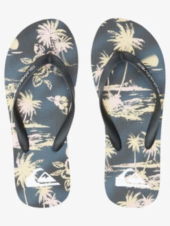 Quiksilver Molokai Air Flow - Flip-Flops For Men -Quiksilver Shop aqyl101318 quiksilverp xksk frt4
