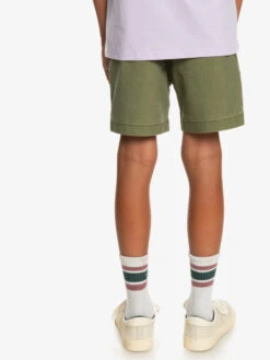 Quiksilver Taxer - Elasticated Shorts For Boys 8-16 -Quiksilver Shop eqbws03330 quiksilverw gph0 bck1