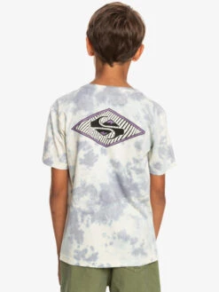 Quiksilver Diamond Heritage - T-Shirt For Boys 8-16 -Quiksilver Shop eqbzt04605 quiksilverw sfv0 bck1
