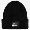 Quiksilver Womens The Beanie - Recycled Beanie For Women