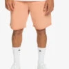 Quiksilver Trip Away - Sweat Shorts For Men