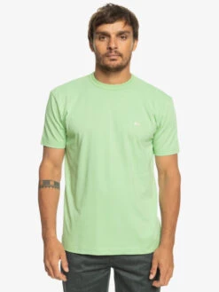 Quiksilver Essentials - Organic T-Shirt For Men