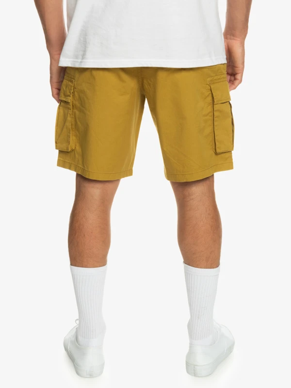 Quiksilver Relaxed - Cargo Shorts For Men 7 Quiksilver Relaxed - Cargo Shorts For Men - Image 5